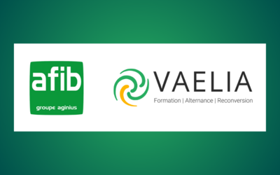 Vaelia reprend AFIB et renforce l'accompagnement numérique des entreprises