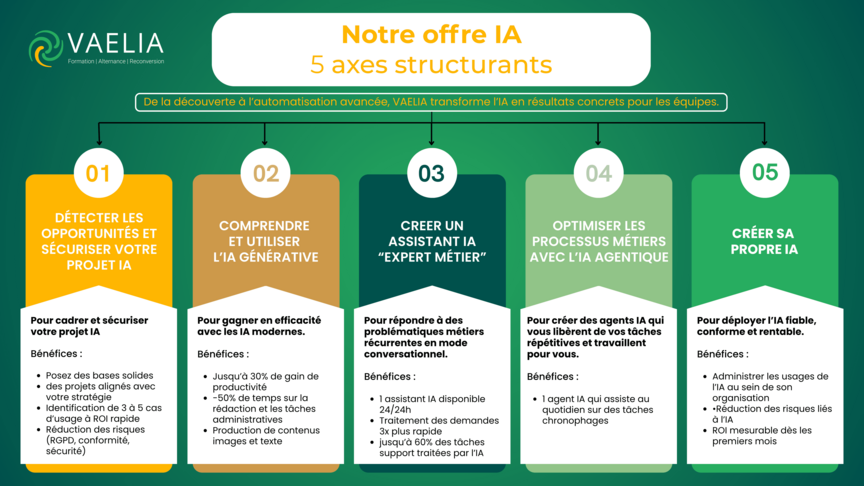 Offre IA Vaelia